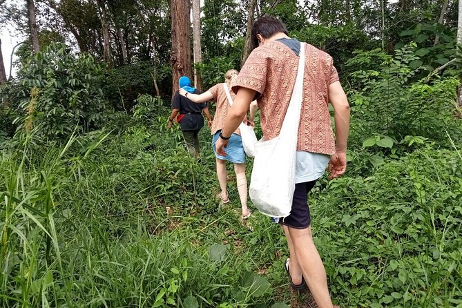 Elephant Sanctuary Small Group Tour in Phuket - A Half-Day Elephant Sanctuary Without the Rodeo Stuff