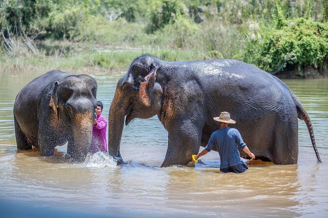 Elephant Sanctuary Small Group Tour in Phuket - Terrain and Comfort: What to Wear in Phuket for This Day