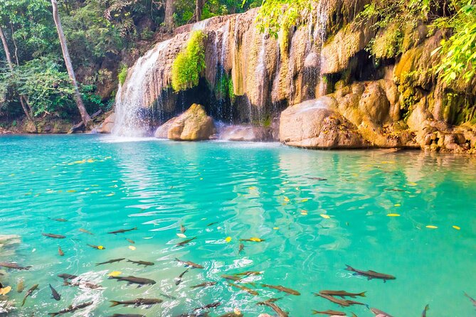 Erawan Waterfall and Elephant Care: Private Tour to Kanchanabur - Logistics that matter: what to do with the long drive and tight schedule