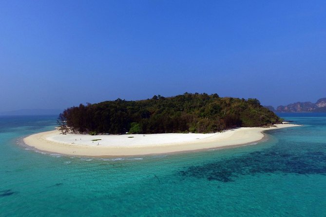 Exclusive Small Group Phi Phi Islands Sunrise or Day Trip - Monkey Beach: quick nature views and a reminder to be respectful