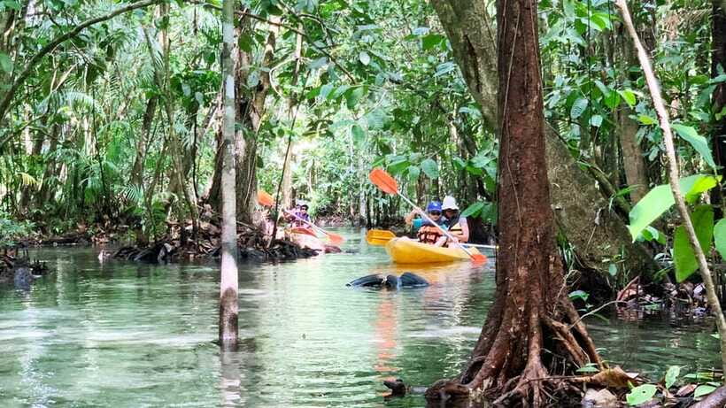 From Ao Nang: Kayaking at Klong Rud with Hotel Transfers - Should You Book Kayaking at Klong Rud With Hotel Transfers?