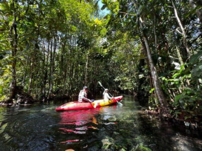 From Ao Nang: Kayaking at Klong Rud with Hotel Transfers - The Eco-Kayak Experience in Krabi: What the Paddle Really Looks Like
