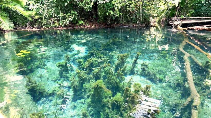 From Ao Nang: Kayaking at Klong Rud with Hotel Transfers - Who Should Book This (and Who Might Want to Skip)