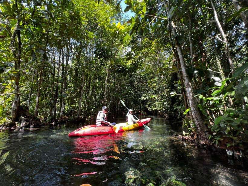 From Ao Nang: Kayaking at Klong Rud with Hotel Transfers - The Eco-Kayak Experience in Krabi: What the Paddle Really Looks Like