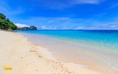 From Ao Nang: Phi Phi Islands Day Tour by Boat with Lunch - The boat plan: speedboat convenience, shared group logistics
