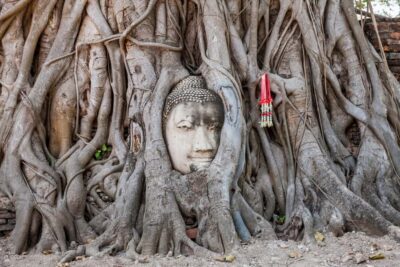 From Bangkok: Ayutthaya Private Full-Day UNESCO Trip - Getting to Ayutthaya from Bangkok: pickups, comfort, and timing