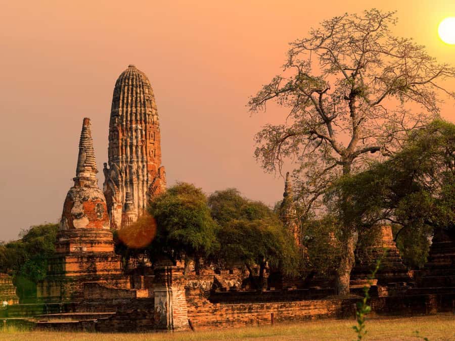 From Bangkok: Ayutthaya Temples and Boat Tour with Lunch - How Guides Keep This Tour Moving (and Why It Matters)
