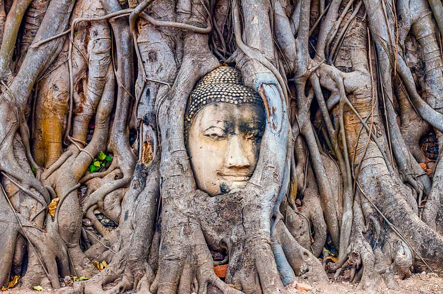 From Bangkok: Markets and Ayutthaya Tour - Thai Lunch Included: A Small Line That Changes the Whole Day
