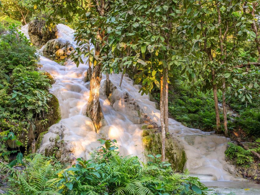 From Chiang Mai: Chiang Dao Cave Trekking Full-Day Tour - Key highlights to watch for