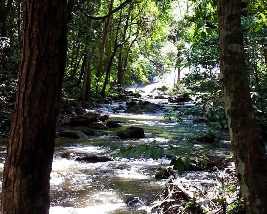From Chiang Mai: Doi Inthanon National Park Day Trip & Hike - Chiang Mai to Doi Inthanon: Cooler Air in the Mountains