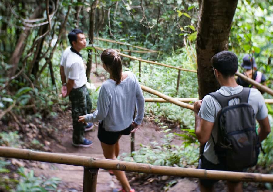 From Chiang Mai: Doi Inthanon National Park Day Trip & Hike - Twin Royal Pagodas and the Hmong Market