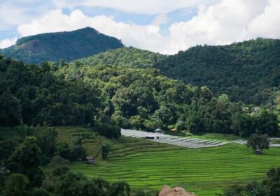 From Chiang Mai: Doi Inthanon National Park Day Trip & Hike - Angka Nature Trail: A 20-Minute Rainforest Primer