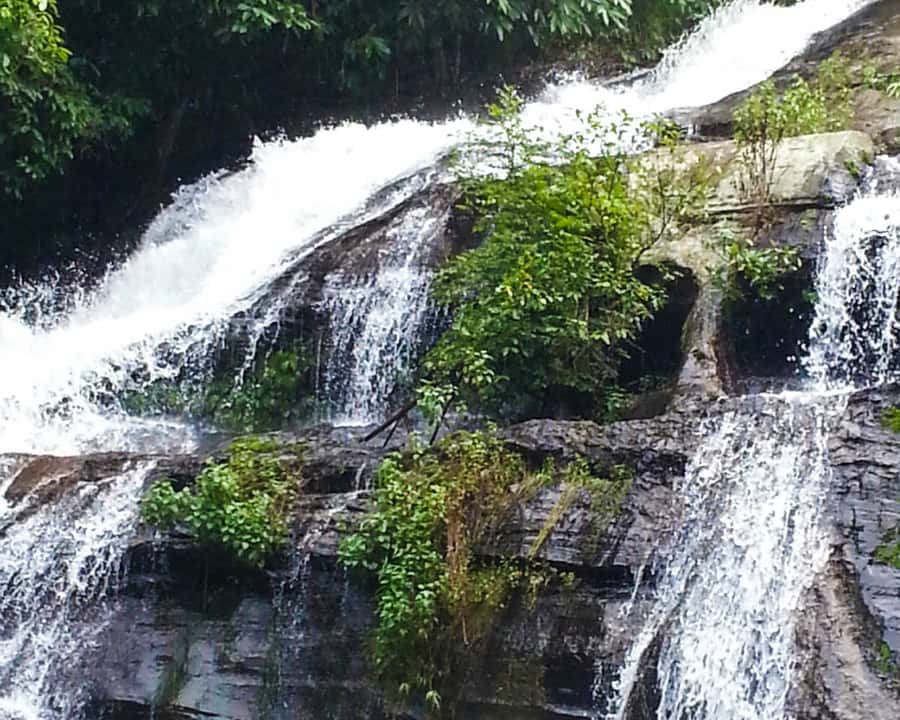 From Chiang Mai: Doi Inthanon National Park Day Trip & Hike - Lunch at Inthanon Restaurant Chom Thong