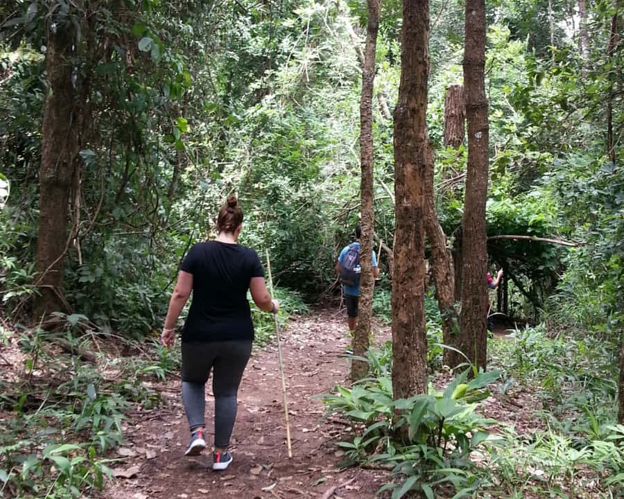 From Chiang Mai: Doi Inthanon National Park Day Trip & Hike - What $106 Includes and Why the Value Feels Fair