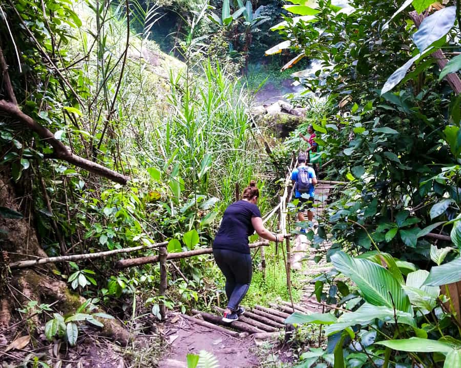 From Chiang Mai: Doi Inthanon National Park Day Trip & Hike - Should You Book This Doi Inthanon Day Trip?