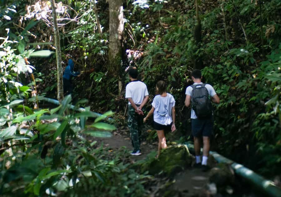 From Chiang Mai: Doi Inthanon National Park Day Trip & Hike - FAQ