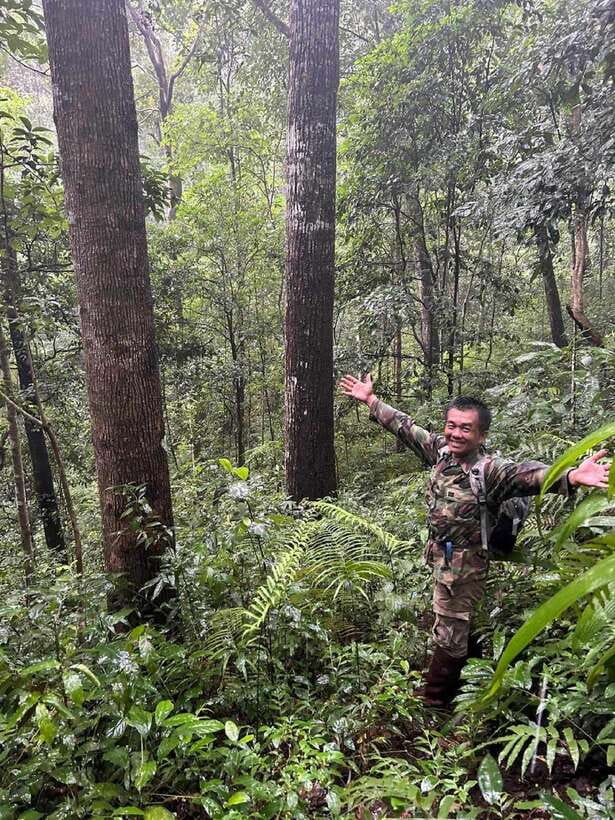From Chiang Mai: Doi Saket Hiking Tour with Lunch - Key Highlights Worth Marking on Your Day