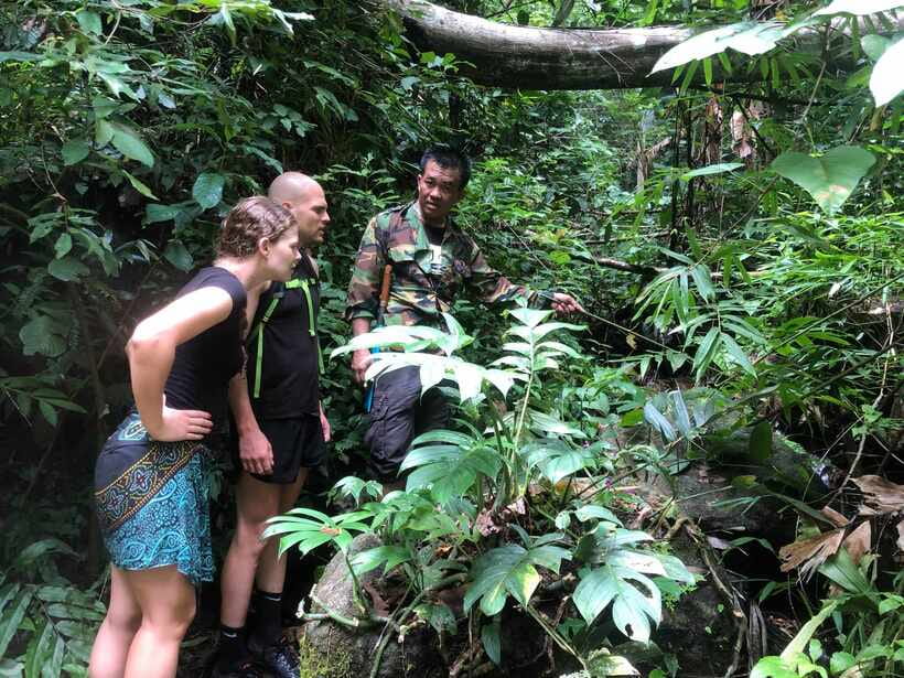 From Chiang Mai: Doi Saket Hiking Tour with Lunch - The Lunch Spot by the Stream: What You Eat and Why It Matters