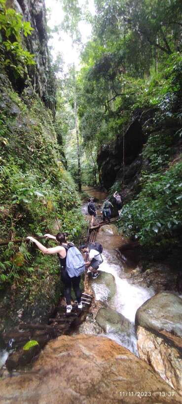 From Chiang Mai: Doi Saket Hiking Tour with Lunch - The Return Loop: Fallen-Tree Bridge, Bamboo Groves, and Fruit Trees