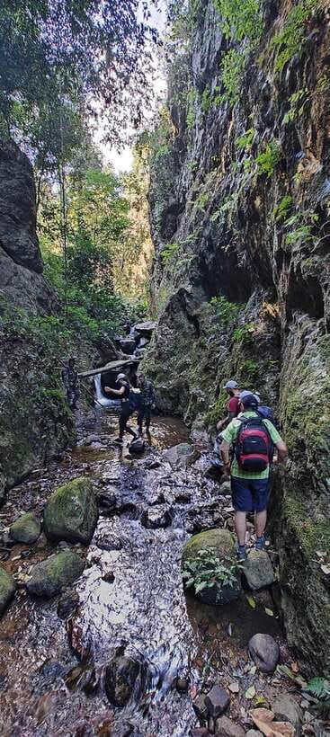 From Chiang Mai: Doi Saket Hiking Tour with Lunch - Walking the Jungle for Real: Timing, Terrain, and Safety Stops