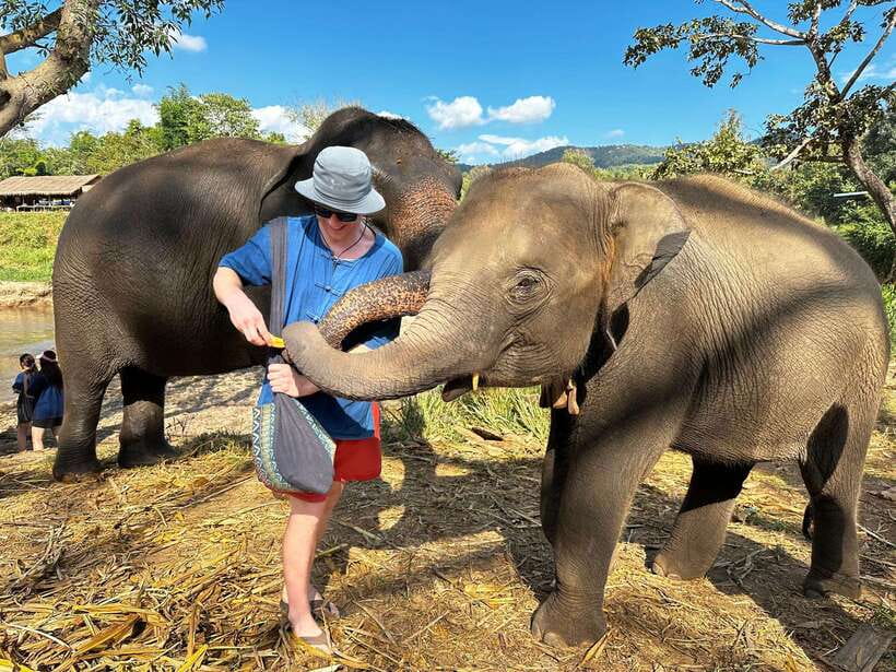 From Chiang Mai: Living Green Elephant Sanctuary Tour - Getting There From Chiang Mai: The 1.5-Hour Van Ride and Why It’s Part of the Value