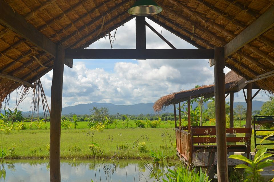 From Chiang Mai: Mae Taeng Valley and Waterfalls Cycle Tour - Key highlights worth getting excited about