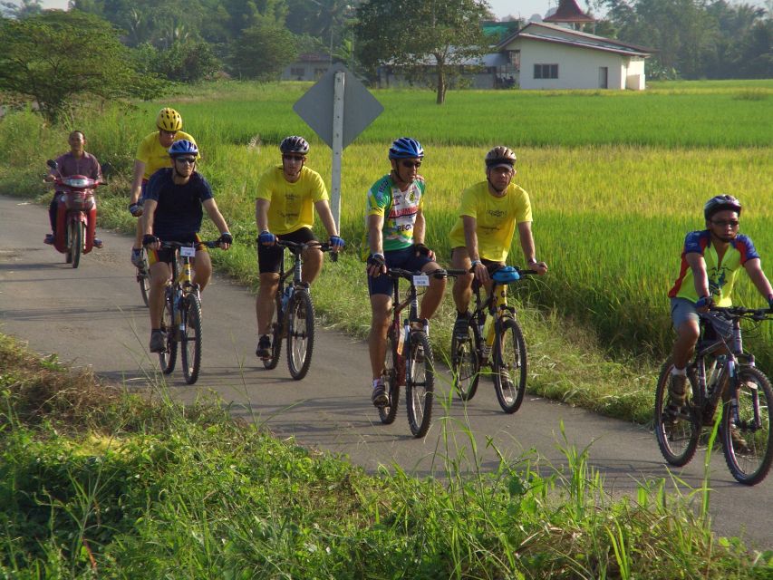 From Chiang Mai: Mae Taeng Valley and Waterfalls Cycle Tour - Cycling through rice fields and village life