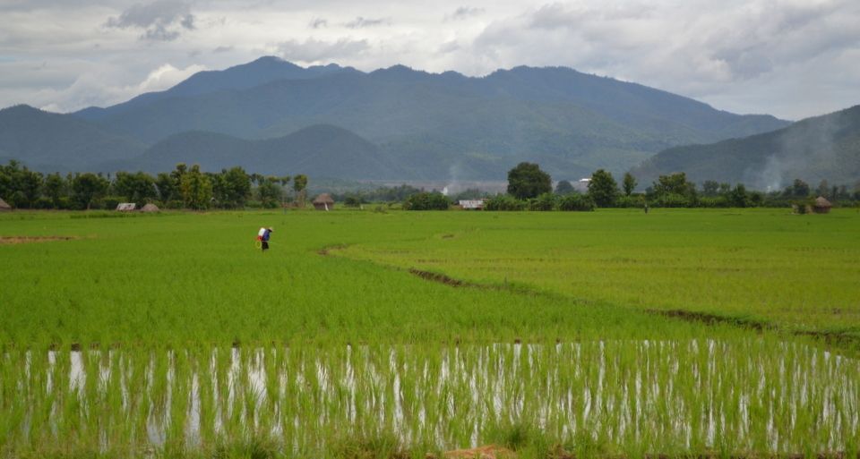 From Chiang Mai: Mae Taeng Valley and Waterfalls Cycle Tour - Afternoon options: more riding or a direct jump to Bua Thong