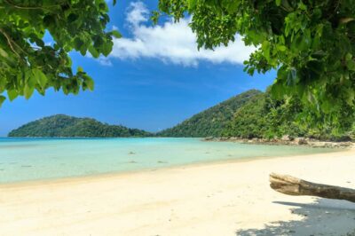 From Khao Lak: Full-Day Snorkeling in the Surin Islands - Early pickup in the Khao Lak zone: you start before breakfast
