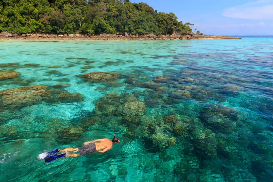 From Khao Lak: Full-Day Snorkeling in the Surin Islands - Snorkeling on the Surin reefs: the tour’s real reason to exist