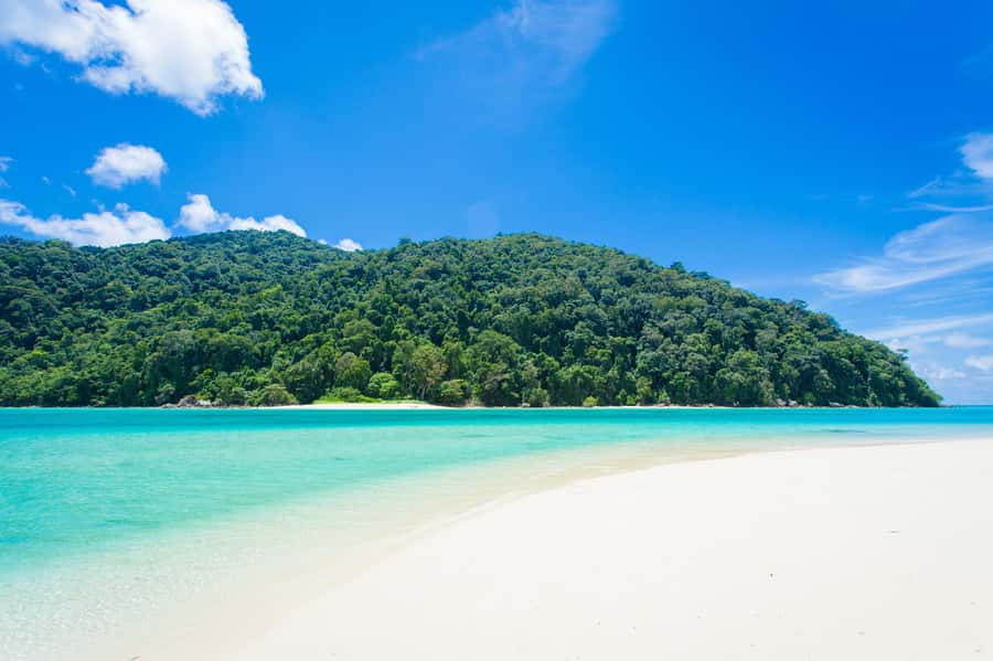 From Khao Lak: Full-Day Snorkeling in the Surin Islands - Moken village stop: culture, houses, and a side of commerce