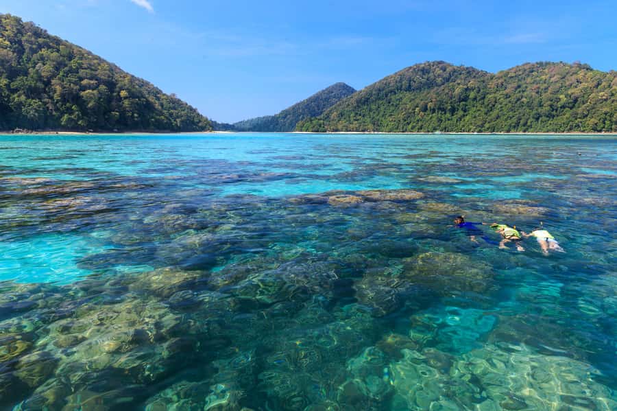 From Khao Lak: Full-Day Snorkeling in the Surin Islands - Value for $122: what you are actually paying for