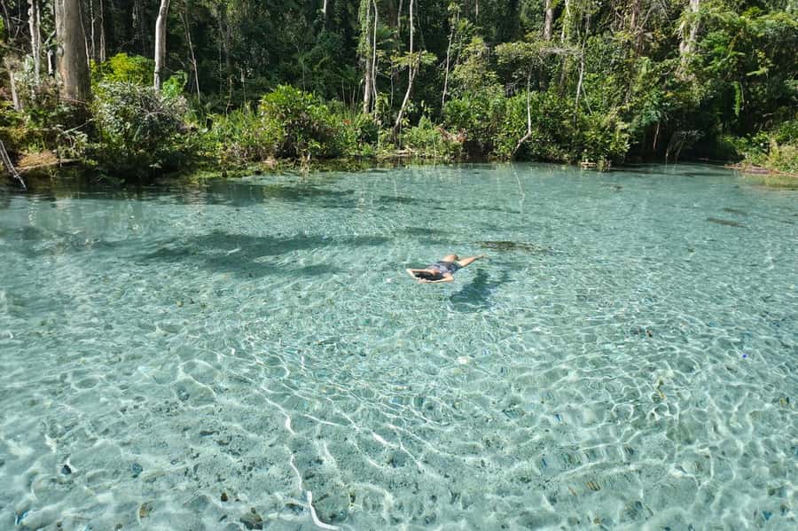 From Khao Lak or Phuket: 2-Day Cheow Lan Lake Tour - Entering Cheow Lan’s world in two compact days