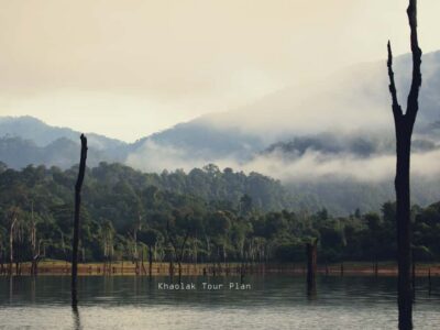 From Khao Lak or Phuket: 2-Day Cheow Lan Lake Tour - The early drive to Khao Sok: what makes it worth waking up