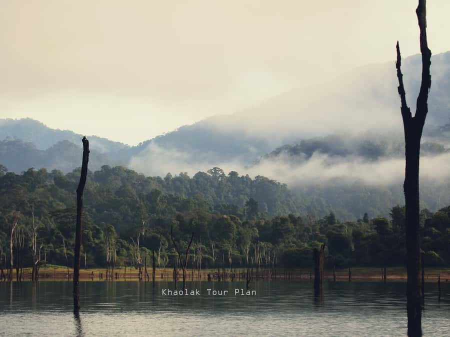 From Khao Lak or Phuket: 2-Day Cheow Lan Lake Tour - The early drive to Khao Sok: what makes it worth waking up