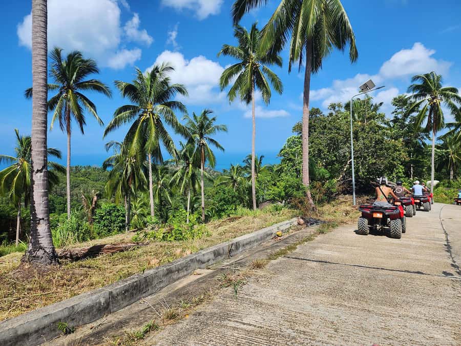 From Ko Pha Ngan: ATV Jungle Adventure Experience - Who should book an ATV jungle tour on Koh Pha Ngan?