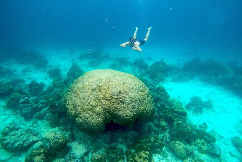 From Koh Lanta: Koh Haa & Koh Rok Snorkel Tour by Speedboat - Koh Rok Noi and Koh Rok Yai: beach time plus Nemo country