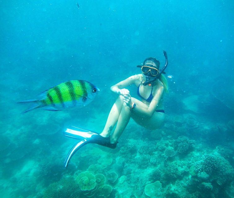 From Koh Lanta: Koh Haa & Koh Rok Snorkel Tour by Speedboat - How the crew helps you see more (not just survive the water)