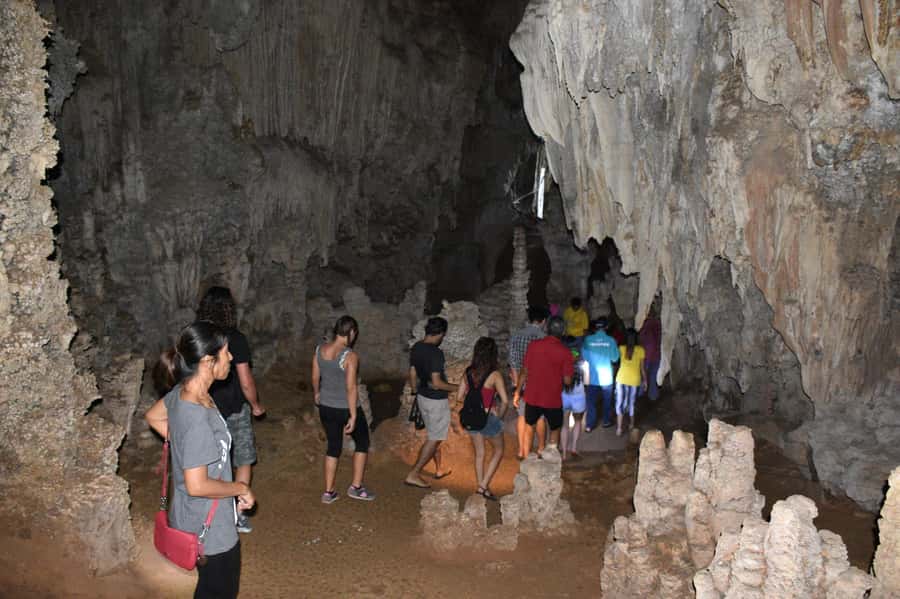 From Krabi: Cheow Lan Lake Cruise and Khao Sok Jungle Hike - Khao Sok jungle hike: short trek, real jungle feel, watch your pace
