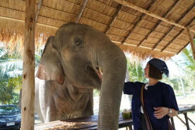 From Pattaya: Living Green Elephant Sanctuary Day Trip - Mo Hom Clothing and the Sanctuary Briefing: The Rules Are Part of the Experience