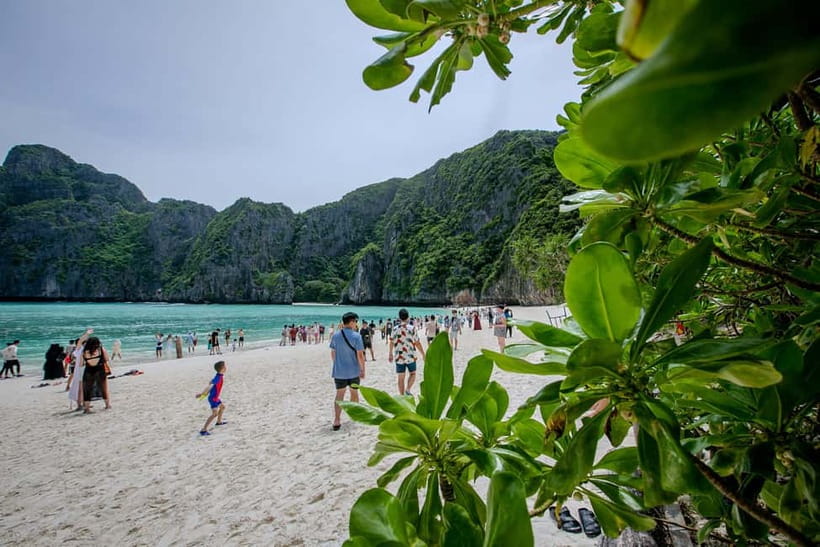 From Phi Phi: Half-Day Longtail Boat Tour to Maya Bay - Key highlights that actually matter