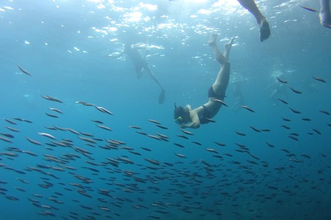 From Phi Phi: Sunrise & Beat The Crowds to Maya Bay by Speedboat - Lunch at Bamboo Island: included food, plus a couple trade-offs