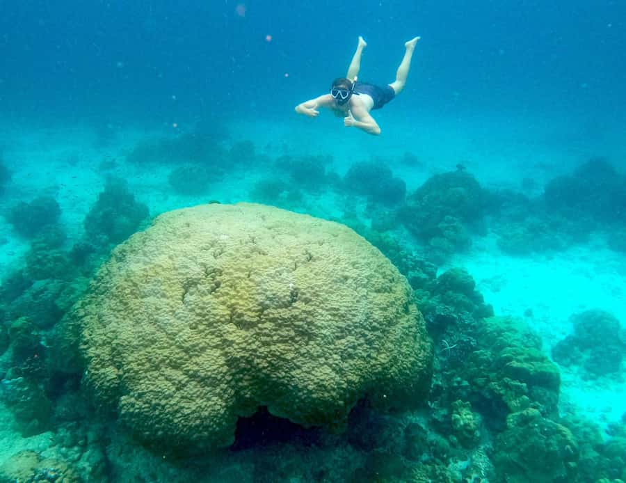 From Phuket: Day Trip to Phi Phi with Private Longtail Tour - Fees, Weather, and the Real Sea Condition Check