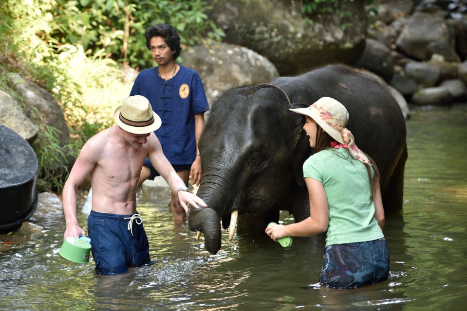 From Phuket: Elephant Care Experience with Rafting & Zipline - Jungle Zipline and Rope Bridge: What You’ll Actually Feel