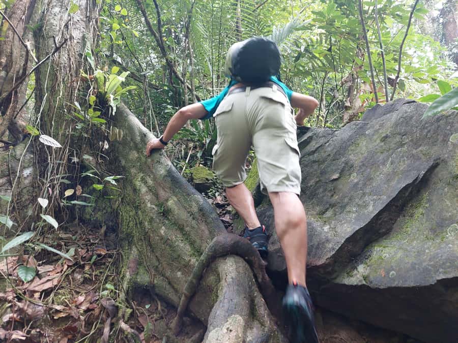 From Phuket: Guided Rainforest Hike with Lunch - Key points before you go