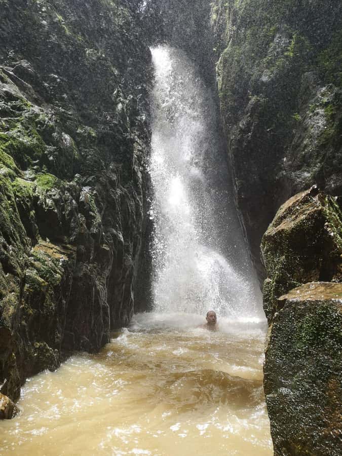 From Phuket: Guided Rainforest Hike with Lunch - Why Khao Phra Taew feels like real jungle, not a theme park