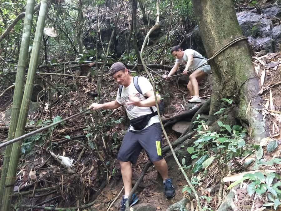 From Phuket: Guided Rainforest Hike with Lunch - Tonsai Waterfall: where the hike turns into a hands-on adventure