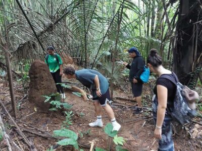 From Phuket: Guided Rainforest Hike with Lunch - The day begins with hotel pickup, then a short safety talk