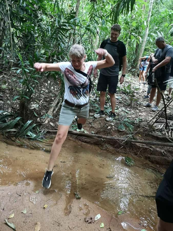 From Phuket: Guided Rainforest Hike with Lunch - Bang Pae Waterfall swimming and the last stretch back