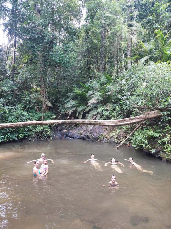 From Phuket: Guided Rainforest Hike with Lunch - Who should book this hike, and who should skip it